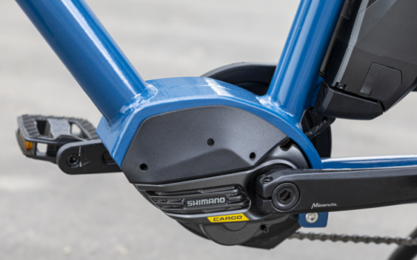 Douze Cycles LT2 S Famille – Image 4