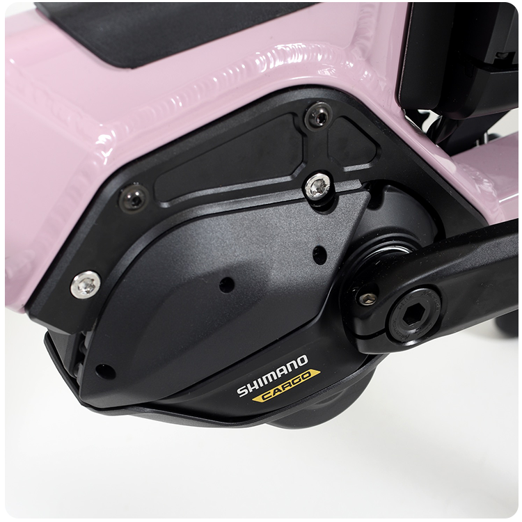 LT24 Shimano - Pinky Power Vue 4