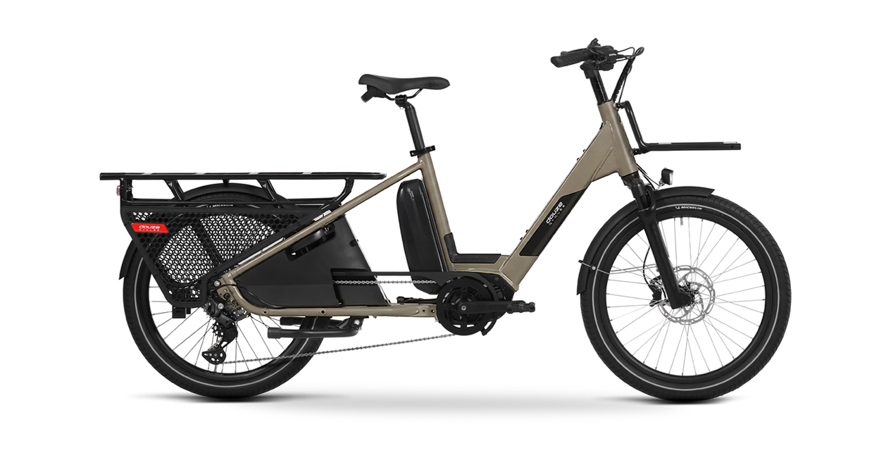 LT24 BAFANG Gris olive